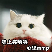 超会卖萌的可爱猫表情合集 快抱走这组可爱猫表情吧