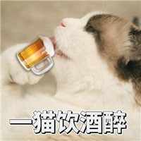 超会卖萌的可爱猫表情合集 快抱走这组可爱猫表情吧