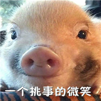 微博超火的小粉猪表情包带字大全 超萌超可爱小粉猪表情包