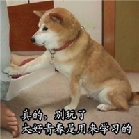 学习系列柴犬贱表情包带字大全 美好的一天从学习开始