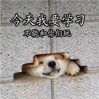 学习系列柴犬贱表情包带字大全 美好的一天从学习开始