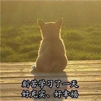 学习系列柴犬贱表情包带字大全 美好的一天从学习开始