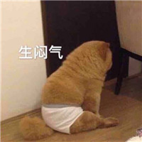 虚假情谊系列搞笑表情包 为虚假的友谊干杯表情包