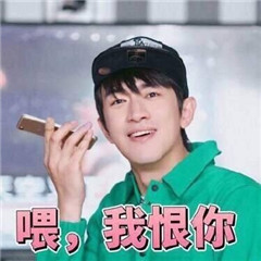 林更新我恨表情包图片最新 林更新表情包我恨系列