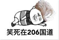 笑死在206国道