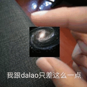 我跟dalao只差这么一点