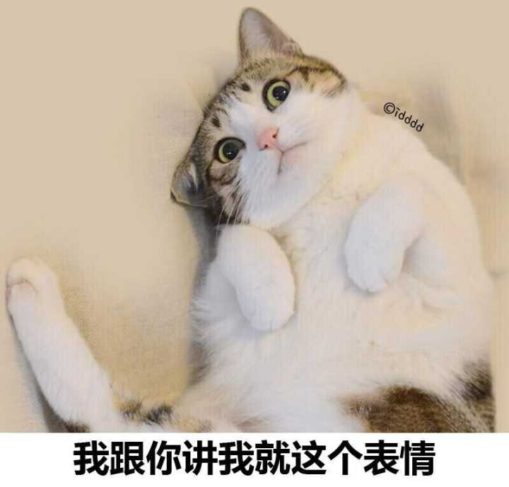 我跟你讲我就这个表情