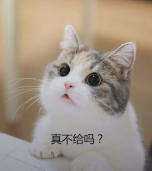 真不给吗？