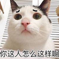 我要买这个表情包 我要买这个你给我买这个猫全套表情包