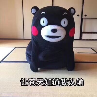 让卷天知道我认输