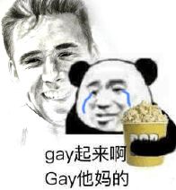 gay起来啊Gay他妈的