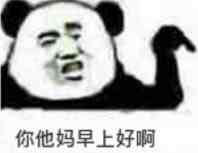 你他妈早上好啊