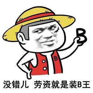 没错儿，劳资就是装B王