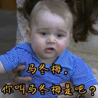 最新乔治小王子可爱表情合集 乔治小王子一个行走的表情包