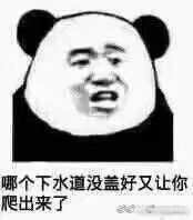 哪个下水道没盖好，又让你爬出来了