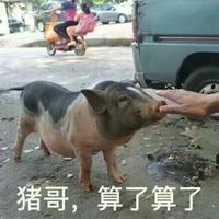 最新一组算了算了的搞笑表情包 天气太热了算了算了