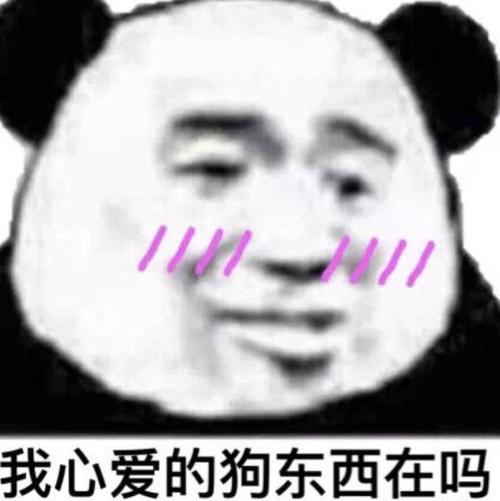 我心爱的狗东西在吗