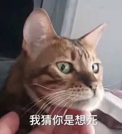 我猜你是想