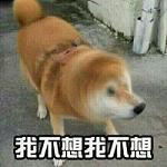 我不管我不管撒娇表情包 柴犬我不走我不走打滚表情图片