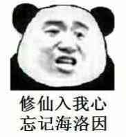 修仙入我心，忘记海洛因