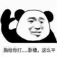 胸给你打卧槽，这么平