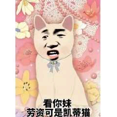 看你妹劳资可是凯蒂猫