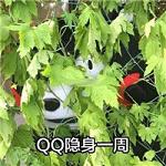 熊本熊文字搞笑表情包 把手机关上一天