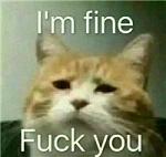 女生专属喵星人带字的表情包 喵星人可爱萌表情包