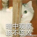 带文字的虎牙超凶猫表情包 超级无敌凶