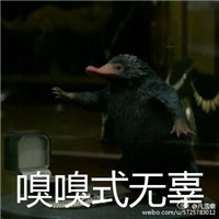 神奇动物在哪里带文字的表情包 麻瓜式吃鲸