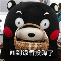 熊本熊搞怪带文字的表情包 你为什么会成为胖纸