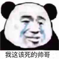 我这该死的帅哥