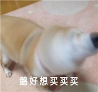 带字的秋天犬双十一表情包 双十一剁手买买买