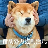 带字的秋天犬双十一表情包 双十一剁手买买买