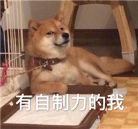 带字的秋天犬双十一表情包 双十一剁手买买买