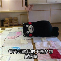 熊本熊搞怪表情包带有文字 献给每天早晨的自己
