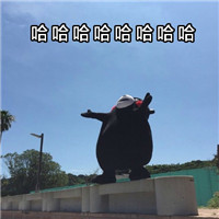 熊本熊带文字系列表情包 文青和我的区别