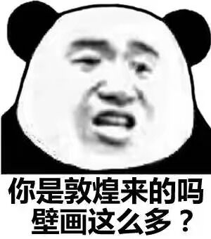 你是敦煌来的吗？壁画这么多？