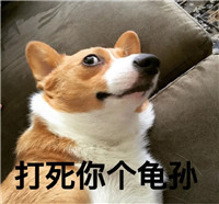 小短腿柯基带字搞怪表情包 我已看破俗世的红尘