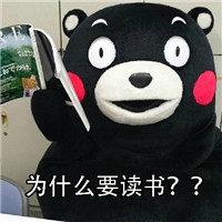 熊本熊带字微信表情包 为什么要读书的原因