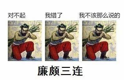 对不起我错了我不该那么说的廉颇三连