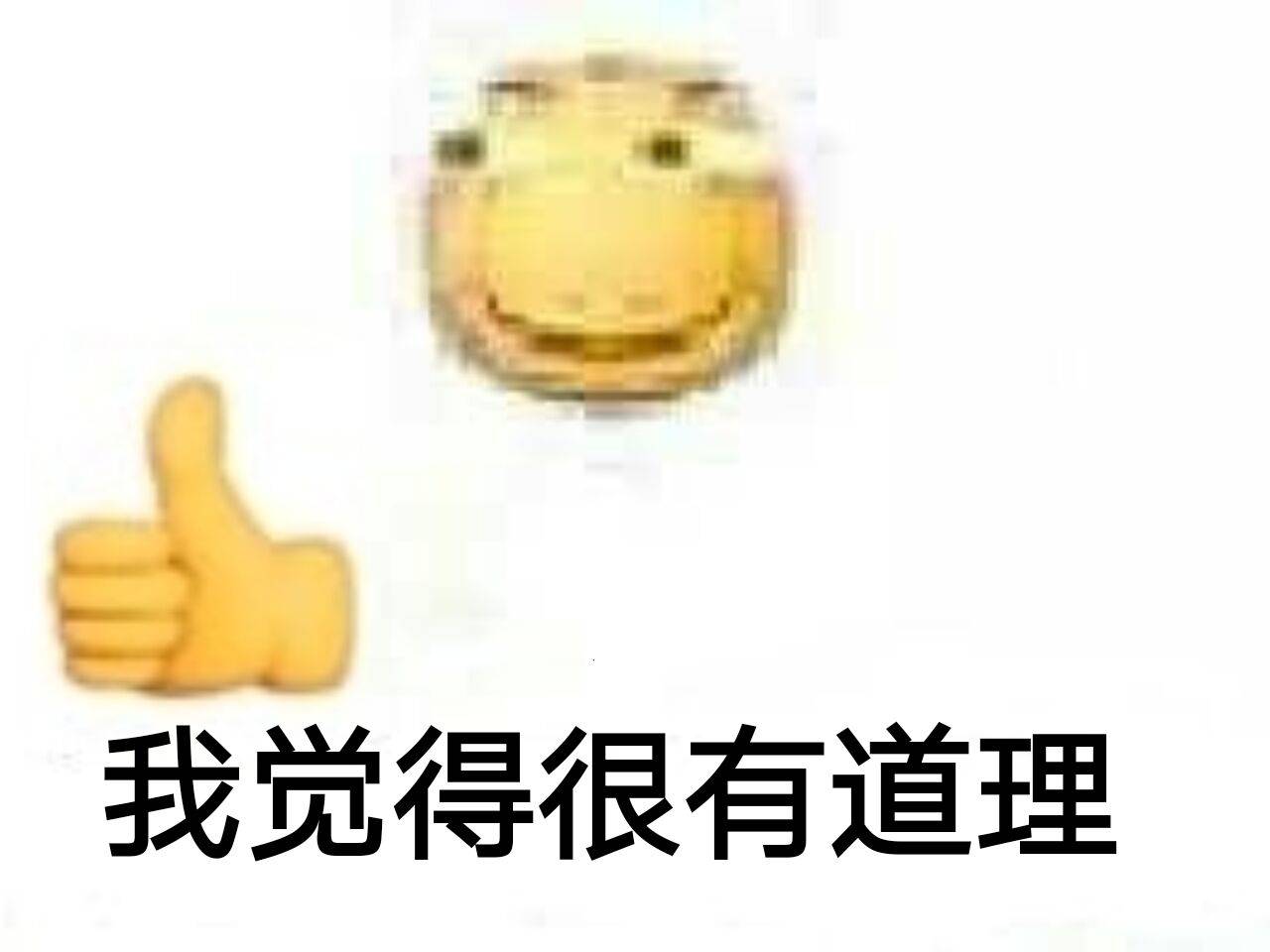 我觉得很有道理