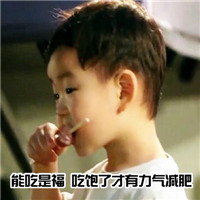 宋民国表情包带字qq聊天表情 这就是你爱吃的理由