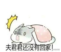 hamham仓鼠老婆表情包带字手绘 卖萌的仓鼠老婆表情包