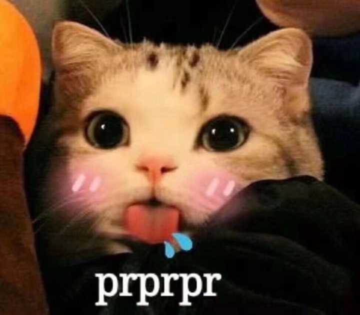 prprpr