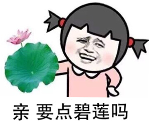 亲要点碧莲吗