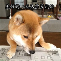 搞笑逗比柴犬之我爱学习 柴犬搞笑带字表情包