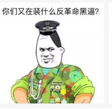 你们又在装什么反革命黑逼？