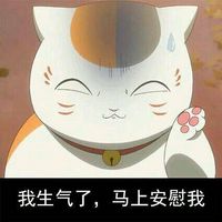 猫咪老师猥琐脸系列文字表情包情侣专用 把钱交粗来