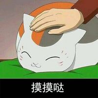 猫咪老师猥琐脸系列文字表情包情侣专用 把钱交粗来